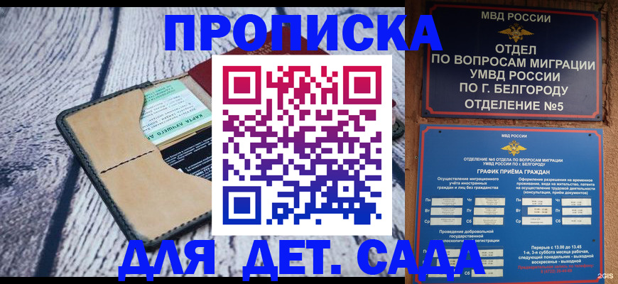 найти адрес прописки в Вязьме